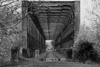  DSC2242 BW