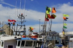  DSC3612