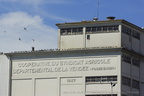  DSC3645