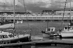  DSC3651 BW