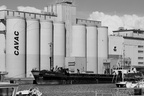  DSC3661 BW