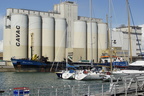  DSC3665