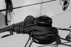  DSC3669 BW