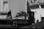 DSC3670 BW