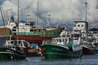  DSC3674