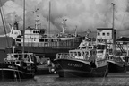  DSC3674 BW