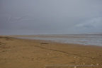 DSC04329