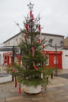 DSC04318