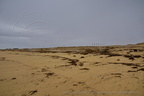 DSC04331