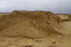 DSC04343