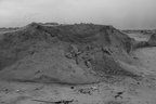 DSC04343 BW