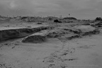 DSC04352 BW