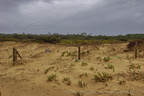 DSC04355