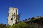 DSC03520