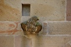 DSC05516