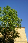 DSC05521