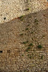 DSC05534