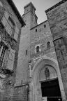 DSC05537 BW