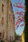DSC05579