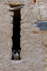 DSC05580