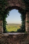 DSC05590