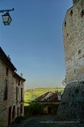 DSC05594