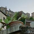 DSC05608