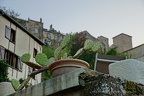 DSC05608