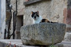 DSC05611