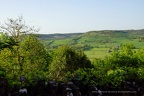 DSC05454