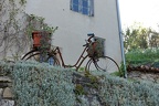 DSC05461