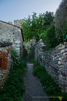 DSC05465