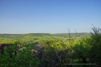DSC05467