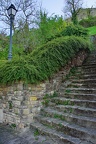 DSC05468