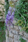DSC05476