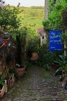 DSC05481