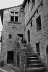 DSC05871 BW