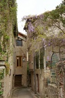 DSC05872