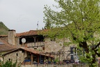 DSC05875