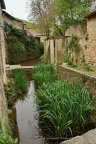 DSC05884