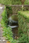 DSC05889