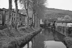 DSC05896 BW