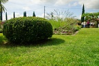 DSC08015