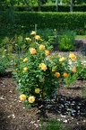 DSC08035