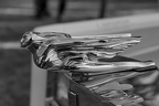 DSC04706 BW