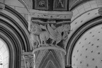 DSC03043 BW