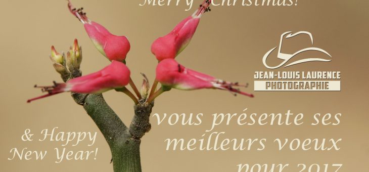 Bonne et heureuse année 2017 !