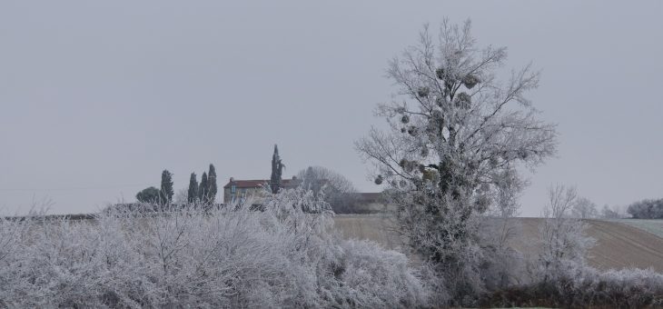 Nouvelles photos en Impression Fine Art