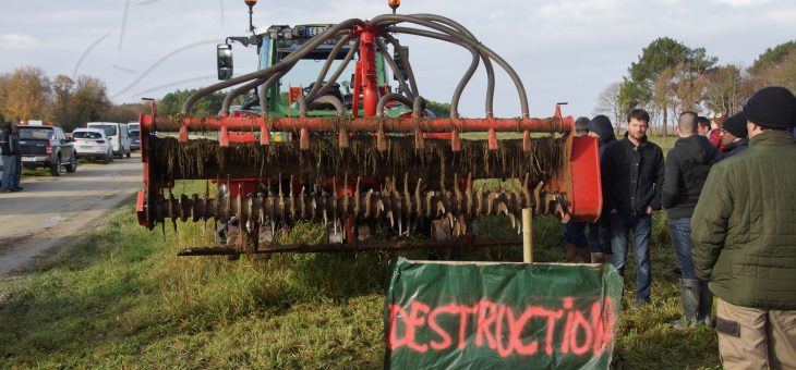 Reportage agricole : le couvert végétal