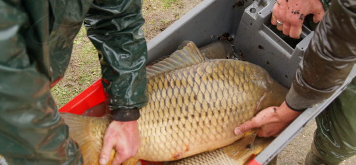 Pêche à l’étang d’Assay